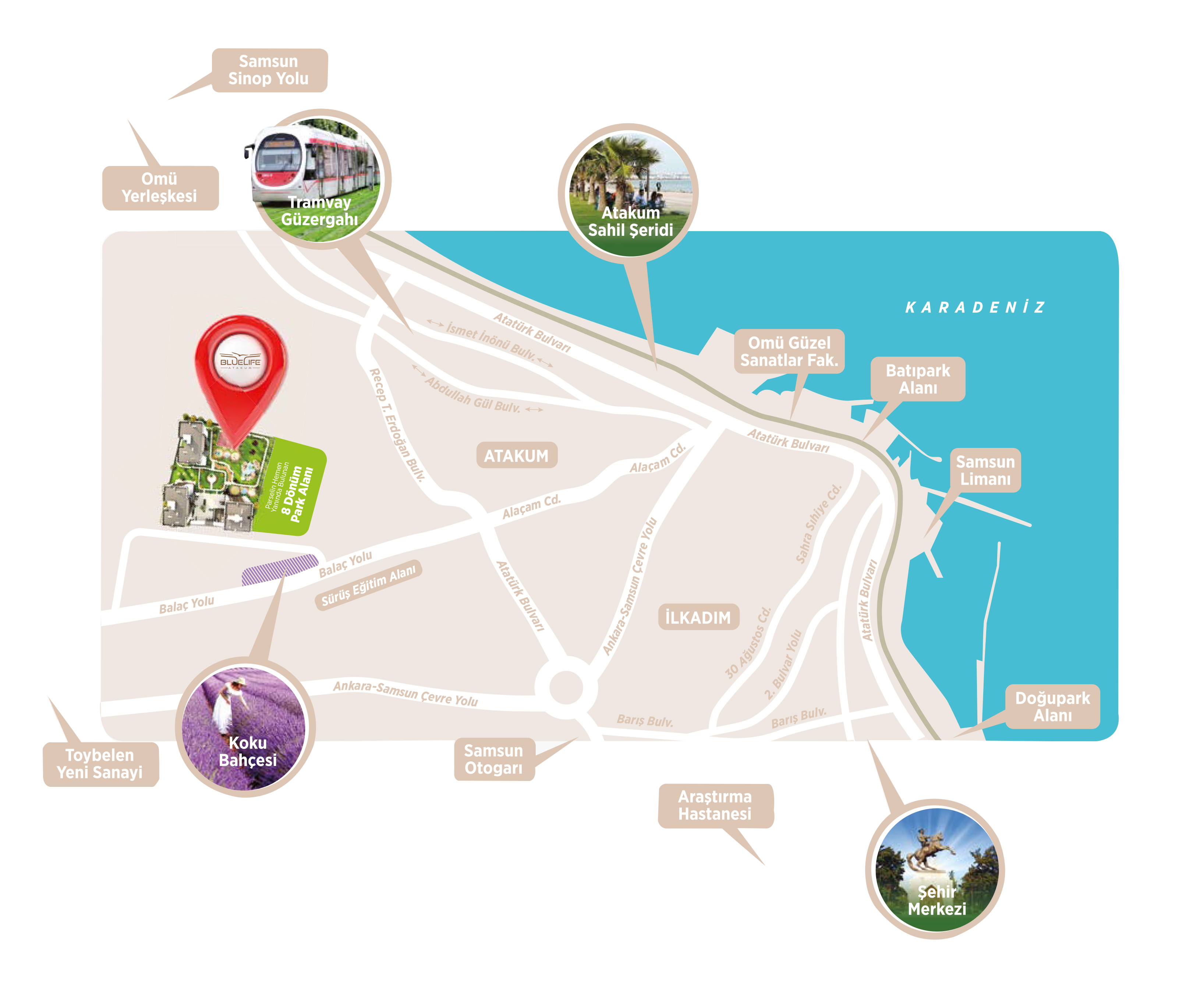 Bluelife Atakum harita üzerindeki yeri